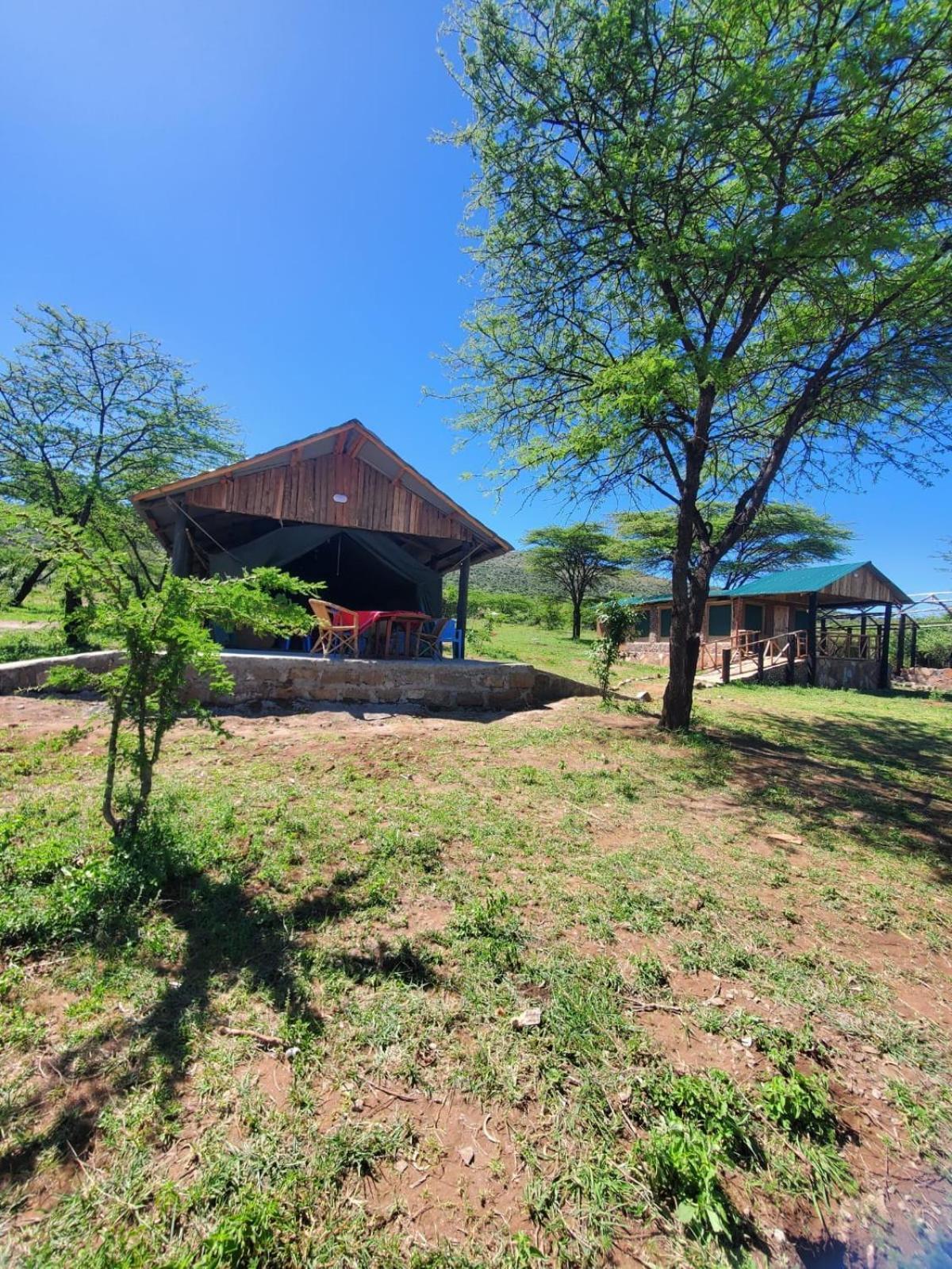 Ilkerin Camp Maasai Mara Bed and Breakfast Sekenani Exteriör bild